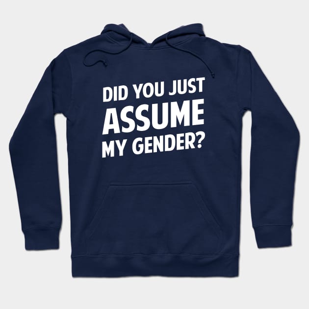 Did You Just Assume My Gender? Hoodie by dumbshirts